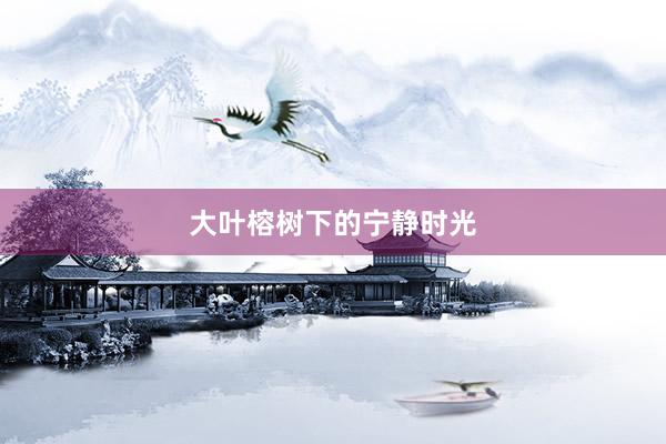 大叶榕树下的宁静时光